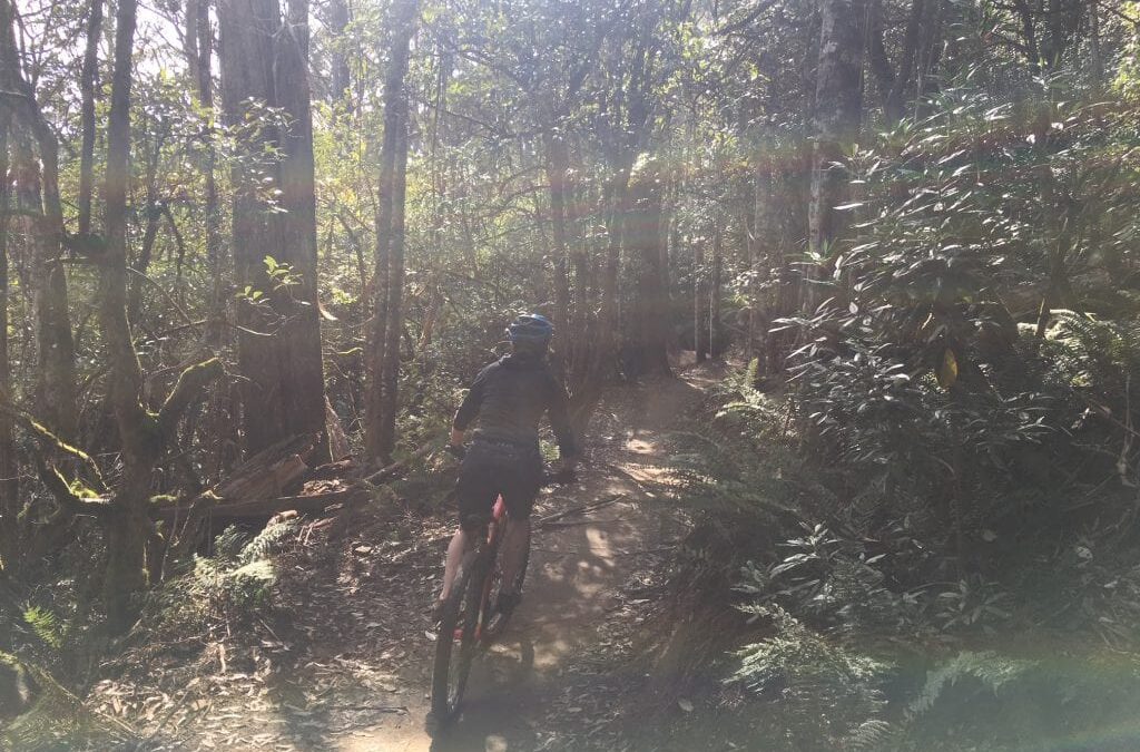 Maydena Mountain Bike Park for Beginners