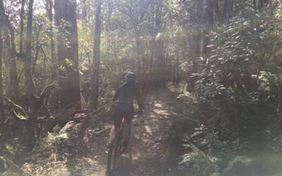Maydena Mountain Bike Park for Beginners