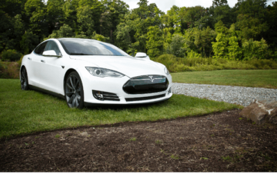 My amazing clients: Revel Drive