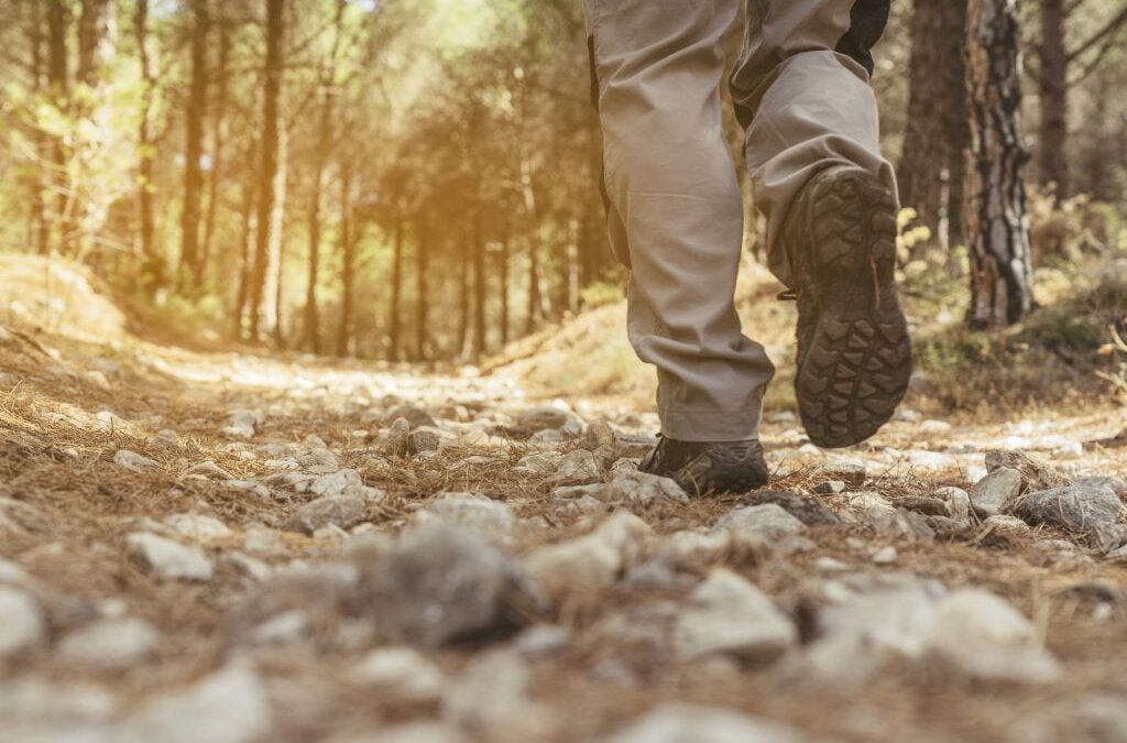 My amazing clients: Emu Run