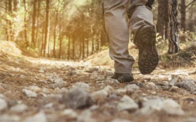 My amazing clients: Emu Run