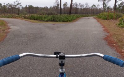 Eight words we all get stuck on