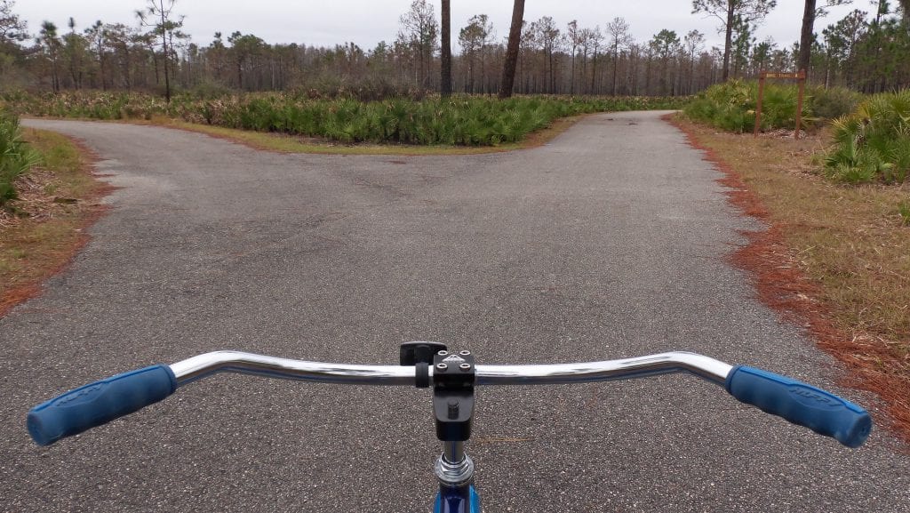 Eight words we all get stuck on