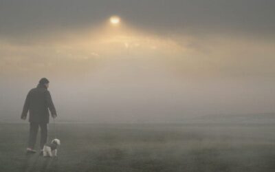 Should you go it alone in 2019? A freelance copywriter’s perspective