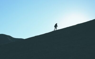 Update on the tale of woe