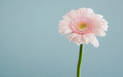 Different ways to say nice