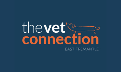 vet connection logo